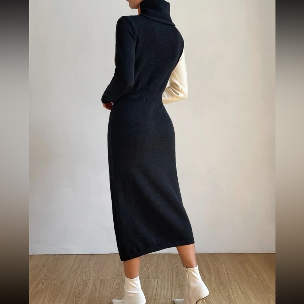 NWOT Privé Color Block Turtleneck Sweater Dress - Picture 3 of 6